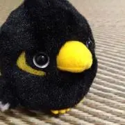 まいくろがれーじの画像