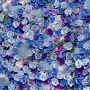 Lussoの画像
