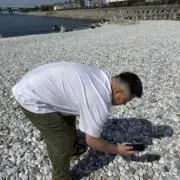 ワキの画像