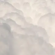ttの画像