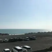 レイの画像