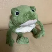 メルもっち