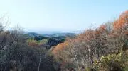 津久井浜海岸の画像