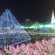 kパパの画像