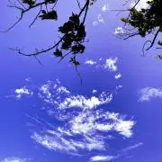 あやの画像