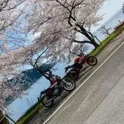 シュータの画像
