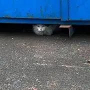 たろ