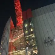 れれかの画像