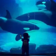 りょの画像