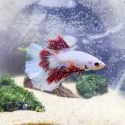 活動名考え中の画像