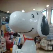 PEANUTSの画像