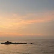 美の画像