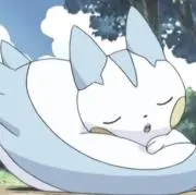 ☆しらたま☆の画像