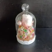 らんの画像