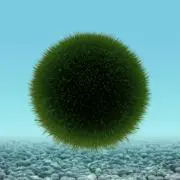 Masakiの画像