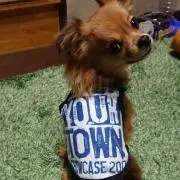 にっしゃんの画像