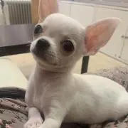 ˘ ᴗ  ̫ ᴗ ˘の画像
