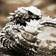 マジロン※プロフ必読