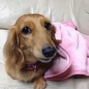 fufufu7