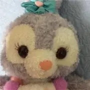 ちゃちゃの画像