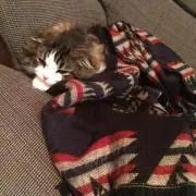 くまお