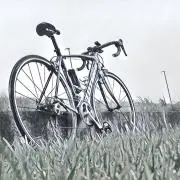 だろん