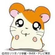 ハム太郎