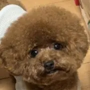 な〜ちゃんの画像