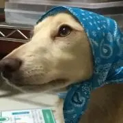 たろうくん