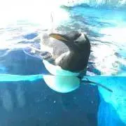 なつ