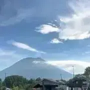 ポンポコたぬきの画像
