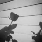 プロフ必読の画像