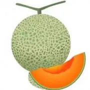 めろん