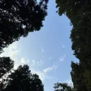 Aozoraの画像