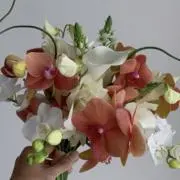 つづき