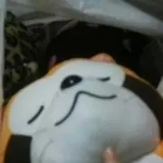 小さなラスカルの画像