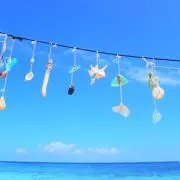 K008の画像