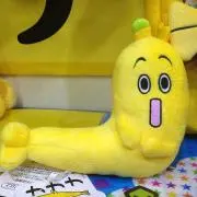 白鹿の画像
