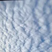 ももの画像