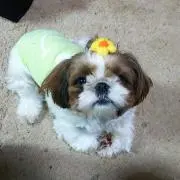 エリちゃんの画像