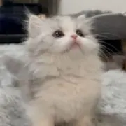 sui ♡ 断捨離中の画像