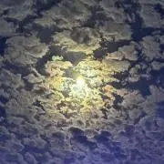 idsm^_ ̫ _^の画像