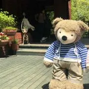 ＊＊＊プロフ読んで下さいの画像