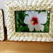 tsubasa ◇プロフ必読◇の画像