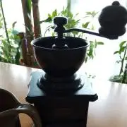 ぽんこの画像
