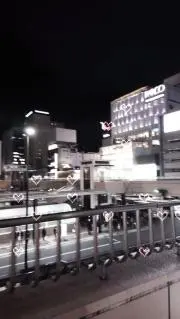 ゆきにゃの画像