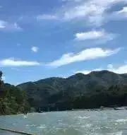 verdeの画像