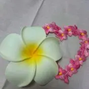 puri puri Yuna