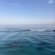 まりちゃん❤︎プロフ必読❤︎