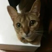 ミルク